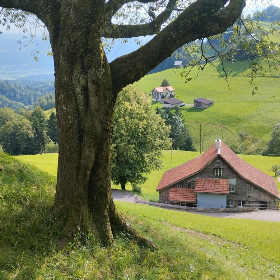 Dom Wiejski Artur Goldingen Buitenkant foto